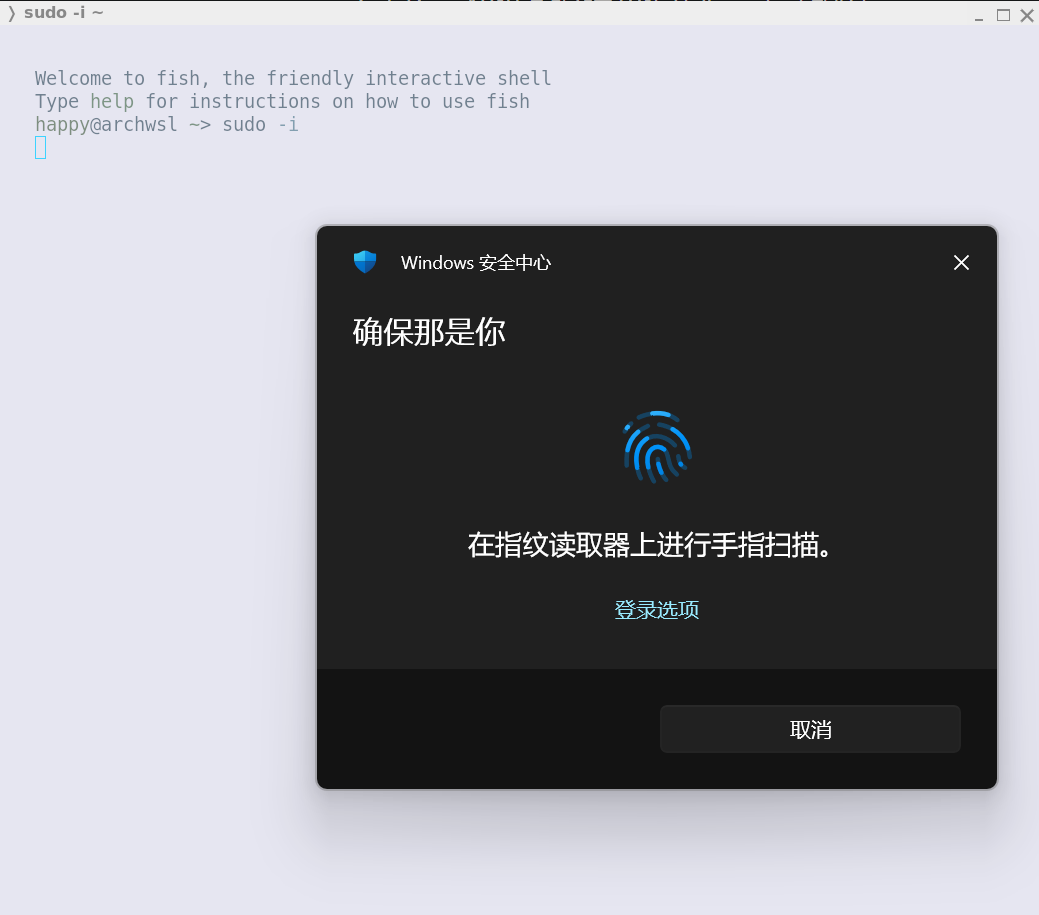 image-20260115042500897